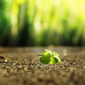 人间中毒电视剧免费观看全集在线天才酷客游戏法
